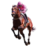 horse racing